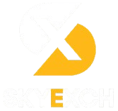 skyexch white logo png